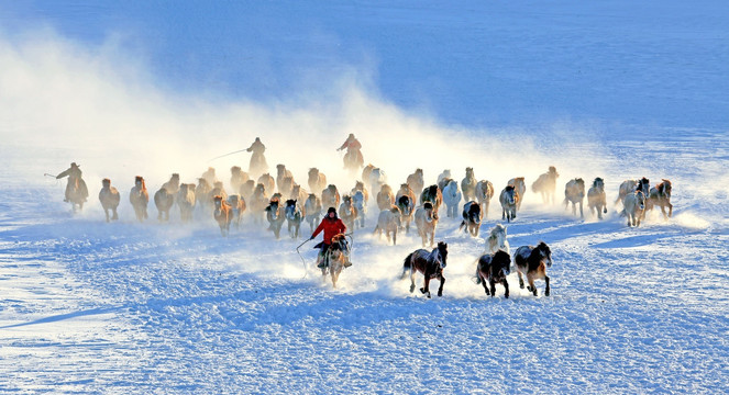 风雪坝上