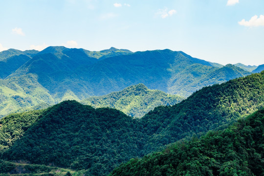 丘陵绿化 生态保持 森林植被