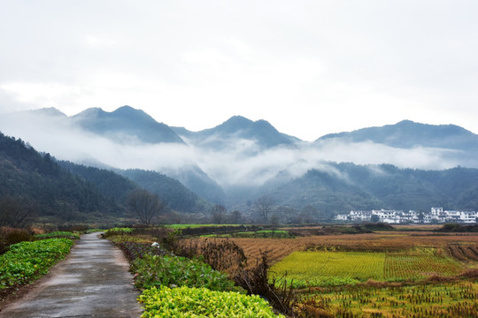 乡间小路