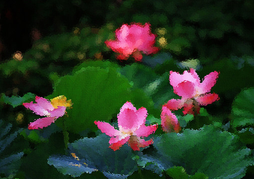 荷花油畫