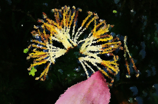 荷花油畫