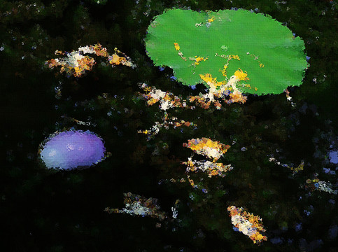 荷花油畫(huà)