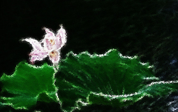 荷花油畫