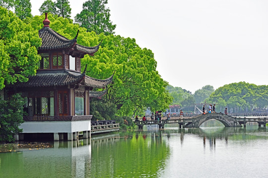 杭州西湖 风荷景区 曲院风荷