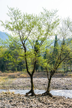 岩景区山水风光