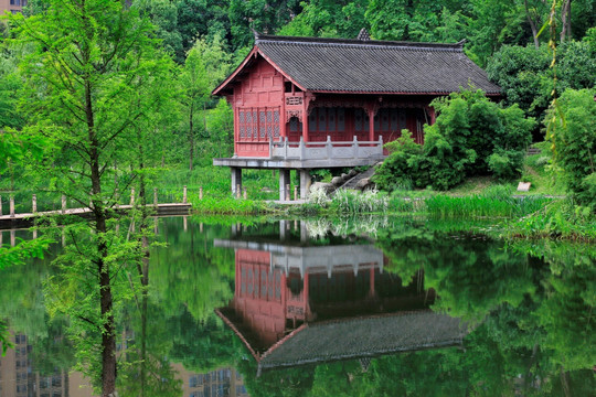 观音塘湿地公园