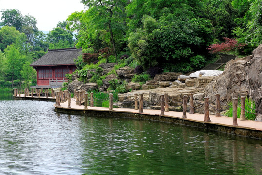 观音塘湿地公园