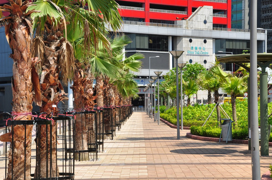 城市建筑 城市街道 城市街景