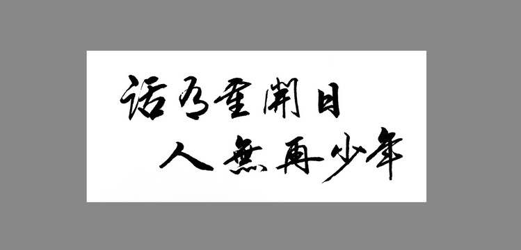 话有重开日人无再少年