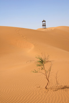 沙漠 沙波头