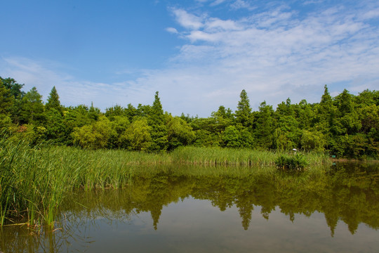 河流