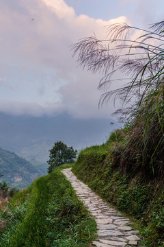 远山小路