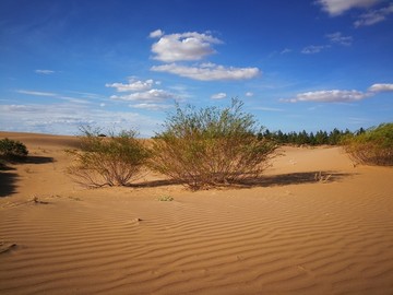 中国第七大沙漠库布其沙漠