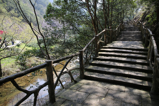 景区山路小道