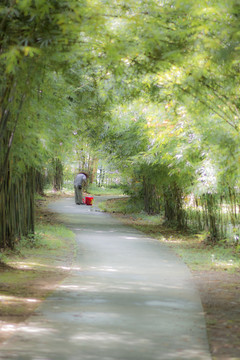 油画树林