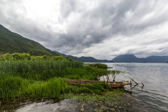 泸沽湖边水草