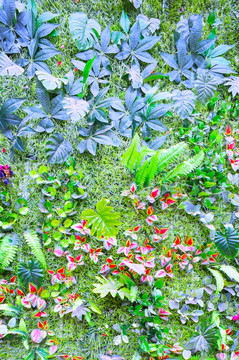 植物墙背景