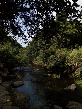 溪水风景