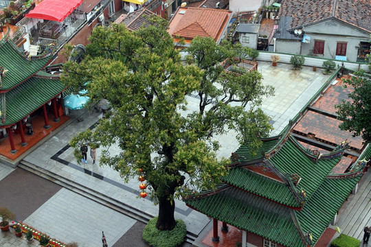 厦门鼓浪屿 日光岩寺