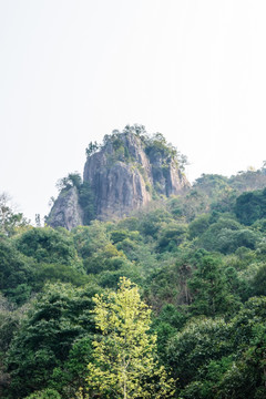 龙湾潭山景