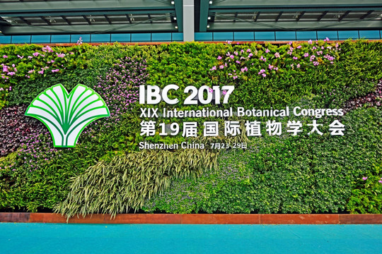 国际植物学大会