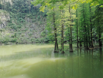 青山绿水