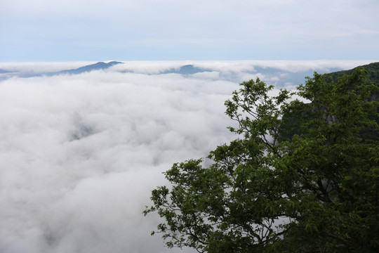 张家界天门山风景图