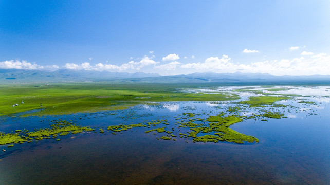 湿地公园