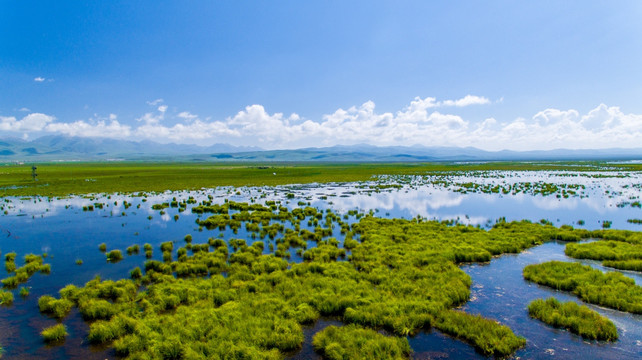 湿地公园