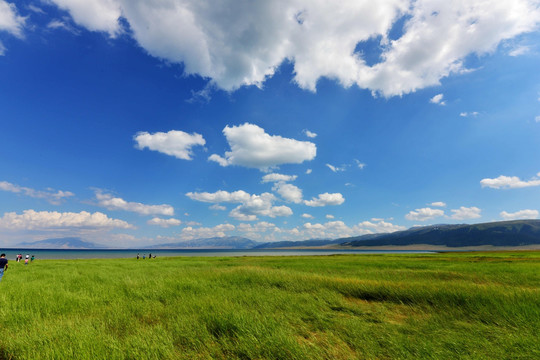 夏季赛里木湖风光