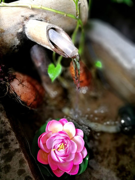 景观水池