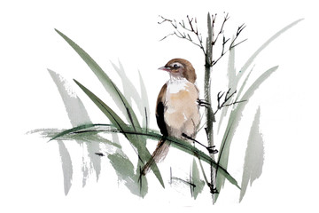 手繪小鳥(niǎo)