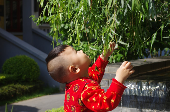 可爱的男孩