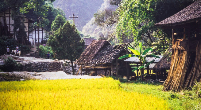 贵州乡村