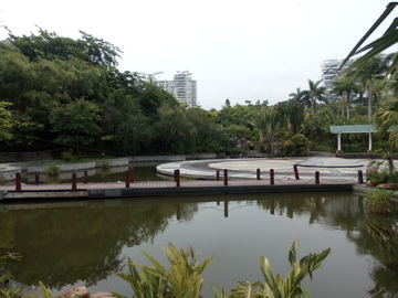 水上风景