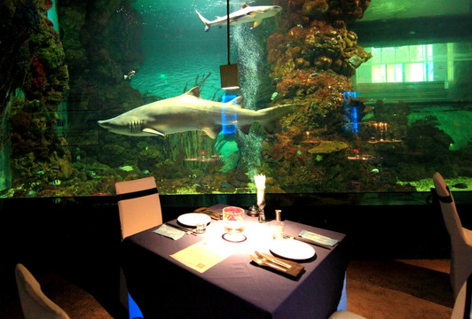 鲨鱼餐厅