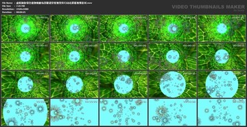 抽象绿色植物细胞场景隧道穿梭