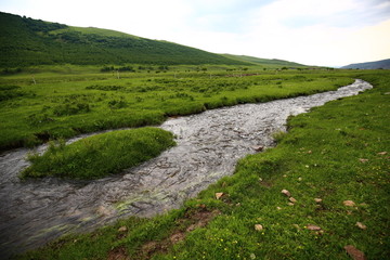 草原河流野花