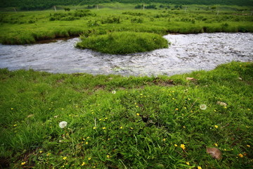 草原河流野花