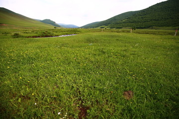 草原景观