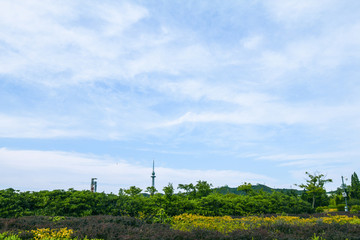 青岛风光