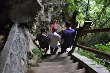 五峰县 长生洞 树叶