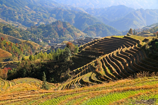 桂林龙胜龙脊梯田大瑶寨观景区