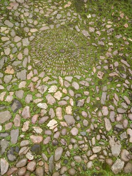 绿苔鹅卵石地面