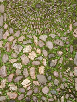 绿苔鹅卵石地面