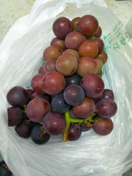 新鲜葡萄
