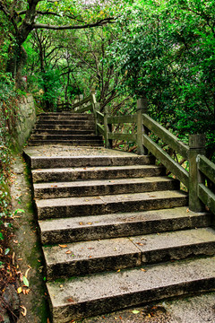 阶梯 石阶 上山 条石