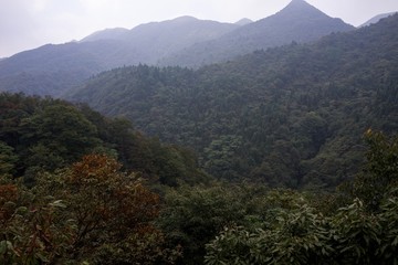 高山