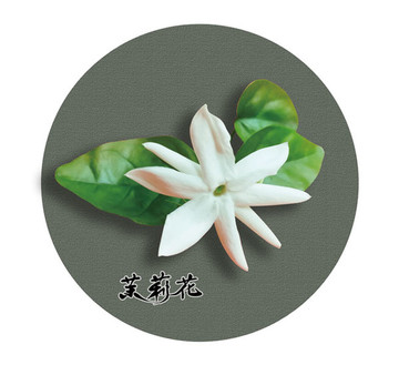 茉莉花