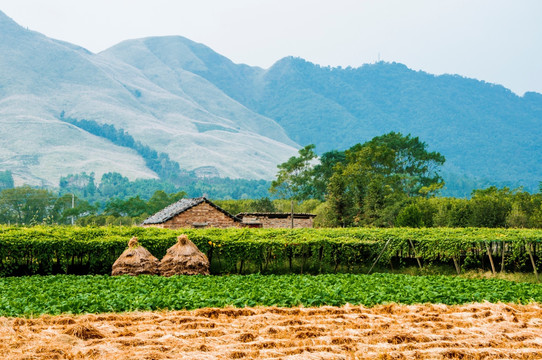 美丽山景